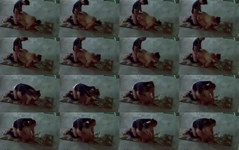 مشاهدة فيديو: نيك فوق السطح لملفاية جامدة اوي